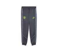 PUMA Pantalones Manchester City KING Anthem para hombre, Accesoiros, Gris, S
