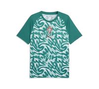 PUMA Portugal 25/26 Pre Match Short Sleeve T-Shirt M
