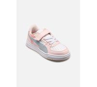 Puma Puma Caven III Block 33 Rosa