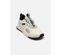Puma Q4 Pacer + Trail 43 Gris