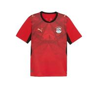 PUMA Réplica de Camiseta EFA Home