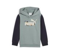 Puma Sandy Adventures Hoodie TR PS, Sudaderas con Capucha Unisex Niños, Green Moon,