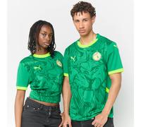 Puma Senegal 2026 Home Jersey verde S