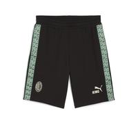 PUMA Shorts de chándal AC Milan KING para hombre, Accesoiros, Negro, XXL