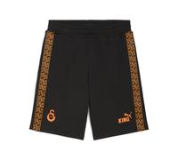 PUMA Shorts de chándal Galatasaray SK KING para hombre, Accesoiros, Negro, S