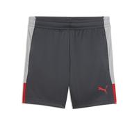 PUMA Shorts de entrenamiento de fútbol individualLIGA juveniles, Accesoiros, Gris, 11-12Y
