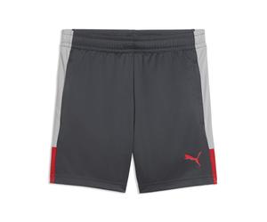 PUMA Shorts de entrenamiento de fútbol individualLIGA juveniles, Accesoiros, Gris, 13-14Y 13-14Y