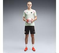 PUMA Shorts de entrenamiento semiajustados FC St. Pauli para hombre, Ropa, Negro, XS