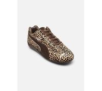 Puma Speedcat Wild Wns 38 1/2 Marrón