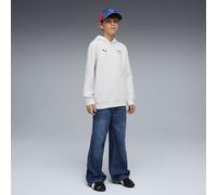 PUMA Sudadera con capucha BMW M MOTORSPORT Essentials juvenil, Accesoiros, Gris, 9-10Y 9-10Y