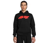 PUMA Formula 1 Essentials - Sudadera con Capucha para Hombre