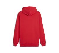 PUMA Sudadera con capucha F1 ESS Motorsport Logo para hombre, Ropa, Rojo, XXL XXL