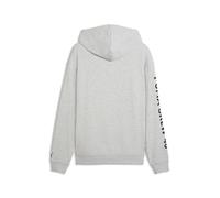 PUMA Sudadera con capucha Graphics Training para hombre, Accesoiros, Gris, XS XS