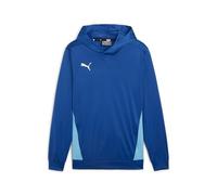 PUMA Sudadera con Capucha Individual Padel TRG M Sudor, Unisex Adulto, Cobalt Glaze-Luminous Blue, XXL