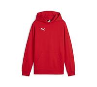 PUMA Sudadera con Capucha para niño Teamgoal Casuals