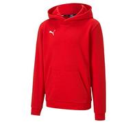 PUMA Sudadera con Capucha Unisex para Adultos, TeamGOAL 23 Casuals Jr, XS