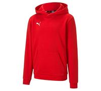 PUMA Sudadera con Capucha Unisex para Adultos, TeamGOAL 23 Casuals Jr, XS