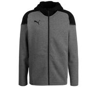 PUMA Teamcup Casuals Hooded Jkt Chaqueta con Capucha, Hombre, Gris, XXL