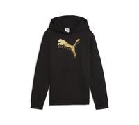 PUMA Sudadera con estampado metálico y capucha Essentials juvenil, Accesoiros, Negro, 7-8Y