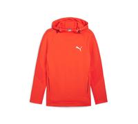 Puma Sudadera de hombre Evostripe Hoodie DK Puma. Rojo S