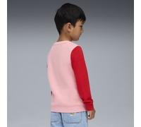 PUMA Sudadera Little Runners para niños, Accesoiros, Rosa, 2-3Y 2-3Y