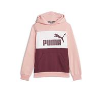 Puma Sudadera Marca Modelo ESS Block Hoodie FL B