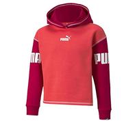 Puma Sudadera Marca Modelo Power Hoodie FL