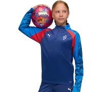 Puma - Sudadera Neymar Jr Playmaker 1/4 Zip Jr, Unisex, Blazing Blue-White-Ultra Blue, 176 cm