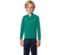 Puma - Sudadera teamRISE Niño, Hombre, Pepper Green-White, 140 cm