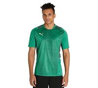 PUMA Teamcup Training Jersey Camiseta, Hombre, Green/Dark Green/Green Gecko, M