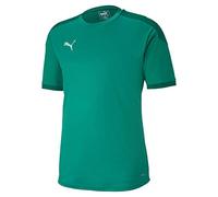 PUMA Teamfinal 21 Training Jersey Camiseta Hombre M Pepper Green / Power Green