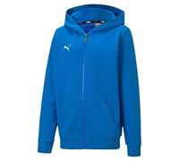 PUMA Teamgoal 23 Casuals Hooded Jacket Jr Chaqueta De Entrenamiento, Niños, Electric Blue Lemonade, 116