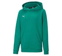 PUMA Teamgoal 23 Casuals Hoody Jr Sudadera, Pepper Green, 128 Unisex niños
