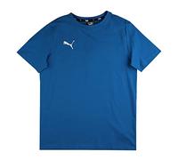 Puma Teamgoal 23 Casuals tee Jr Camiseta, Niños, Electric Blue Lemonade, 176