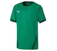 PUMA Teamgoal 23 Jersey Jr Camiseta, Unisex niños, Team Light Blue/Blue Yonder, 128