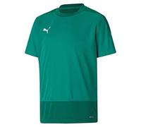 PUMA Teamgoal 23 Training Jersey Jr Camiseta, Unisex niños, Pepper Green/Power Green, 128