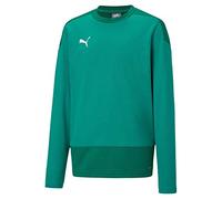 Puma teamGOAL 23 Training Sweat Sudadera, Hombre, Pepper Green/Power Green, XL