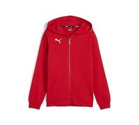 Puma Teamgoal Casuals Hooded Jacket Jr Sudor Niños