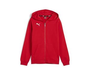 Puma Teamgoal Casuals Hooded Jacket Jr Sudor Niños
