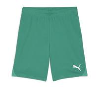 PUMA teamGOAL Short gruenweiss 3XL