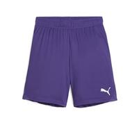 PUMA TeamGOAL Shorts Jr