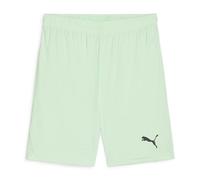PUMA TeamGOAL Shorts Jr