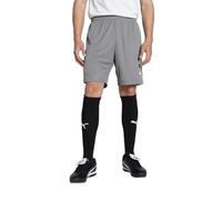 PUMA - teamGOAL Shorts, Pantalones Cortos de Punto Adultos Unisex, Cast Iron-PUMA White, 705752