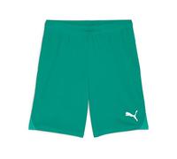 Puma - teamGOAL Shorts, Pantalones Cortos de Punto Adultos Unisex, Sport Green-Puma White, 705752