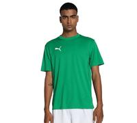 PUMA teamGOAL Trikot gruenweissgruen L