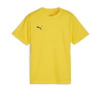 PUMA teamGOAL Trikot Kids gelbschwarzgelb 152