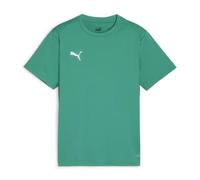 PUMA teamGOAL Trikot Kids gruenweissgruen 164