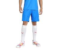Puma Teamliga Shorts Pantalones cortos, Azul, S Hombre