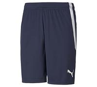 Puma Teamliga Shorts Pantalones cortos, Peacoat-White, L Hombre