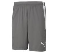 Puma Teamliga Shorts Pantalones cortos, Smoked Pearl, S Unisex adulto